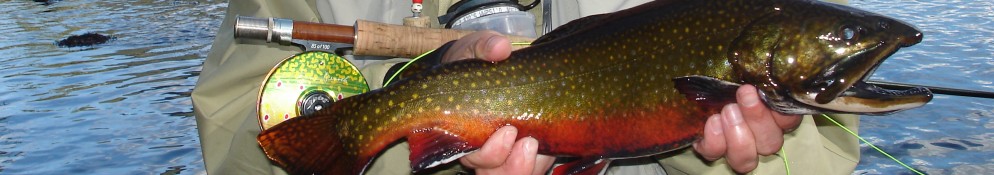 Flotadas Chimehuin – Patagonia Argentina